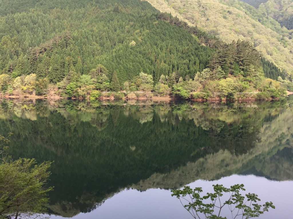 兵庫県側のダム湖